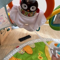 赤ちゃんのおもちゃ　スキップホップ ジム の画像