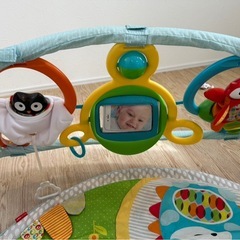 赤ちゃんのおもちゃ　スキップホップ ジム の画像