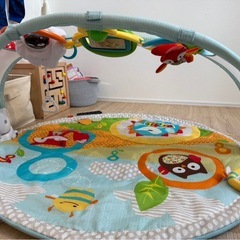 赤ちゃんのおもちゃ　スキップホップ ジム の画像