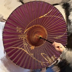 蛇の目傘の画像