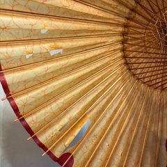 蛇の目傘の画像