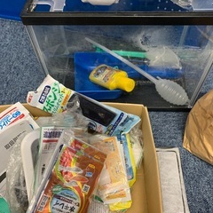 観賞魚の飼育セットの画像