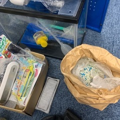 観賞魚の飼育セットの画像