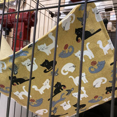 【取りに来て下さる方限定】アイリス　猫ケージ　コンビネーションサークル　ハンモック付の画像