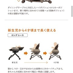 ネムリラ　AUTO SWING LMの画像