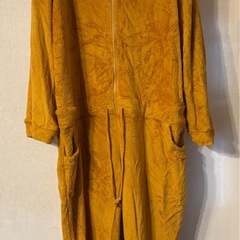 イーブイ 着ぐるみ ドンキ ポケモンの画像