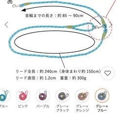 ショルダーリードの画像