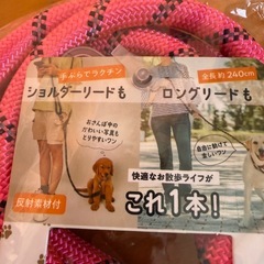 ショルダーリードの画像