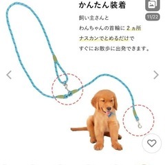 ショルダーリードの画像