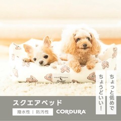 ペットベッド　 ラディカ犬用ベッド　最終値下げ！近日終了予定の画像