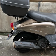 原付50ccトゥデイの画像