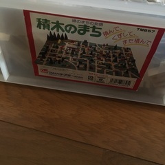 マルハタアミーの積み木の家の画像