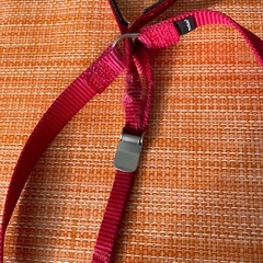 大型犬用ジェントリーダーの画像