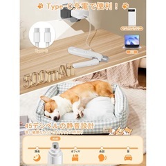 猫 爪切り ペット用爪切り 犬 つめきりの画像