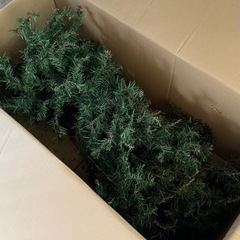 クリスマスツリー　170〜180cmの画像