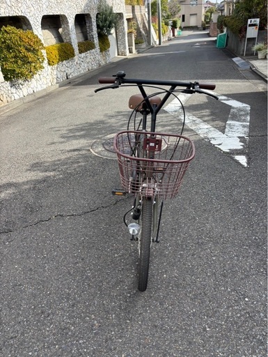 CURIOUS mini オシャレな自転車