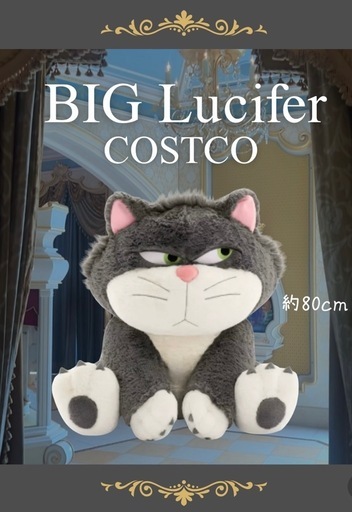 問い合わせ下さった皆様ありがとうございます！現在お取引中です