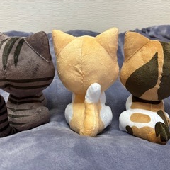 【引渡し先決定のため受付終了】【0円】猫ぬいぐるみ3体セット🐱の画像