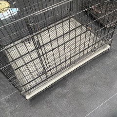 ペットケージ③　pro cage ichise の画像