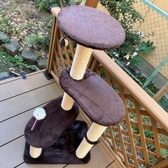 キャットタワー3段タイプ　美品の画像