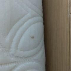 シングルマットレスの画像