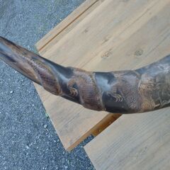 水牛の角 置き物の画像