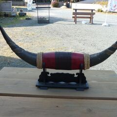 水牛の角 置き物の画像