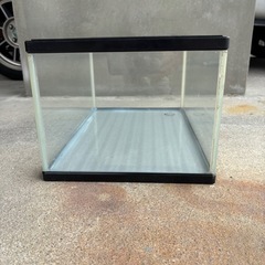 【希少サイズ!!】⑧45cm中古水槽の画像