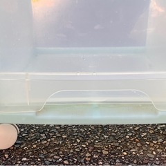 取引中 |　透明衣装ケース 3段の画像