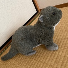かわうそ ぬいぐるみの画像