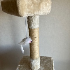 キャットタワーの画像