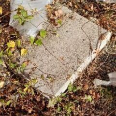 コンクリート板差し上げます。の画像