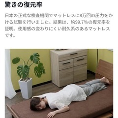 LOWYA 厚さ10cm高反発マットレス ダブル 洗えるカバー付  の画像