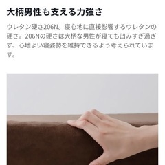 LOWYA 厚さ10cm高反発マットレス ダブル 洗えるカバー付  の画像