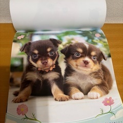 2026年　カレンダーの画像