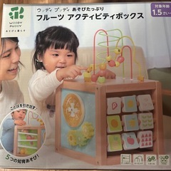 フルーツ　アクティビティボックスの画像