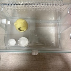 ハムスター　GEX グラスハーモニー　ケージ　の画像