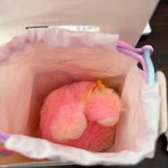 ラブブ　　の画像