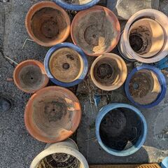 ☆無料☆ 植木鉢 12鉢 の画像