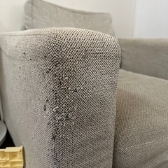 2〜3人がけソファ+1人がけソファの画像