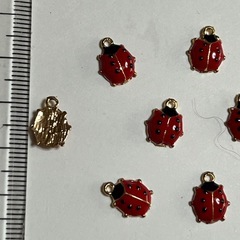 てんとう虫チャーム14個
の画像