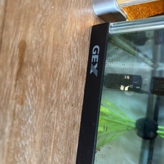 アピスト水槽setオマケ付き‼️の画像