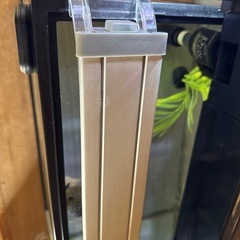 アピスト水槽setオマケ付き‼️の画像