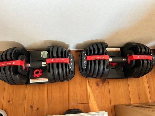 スタジオスタイル ニューポート1.5 美品 超激レア ヘッドカバー付き GSS