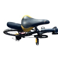 ドッペルギャンガー202 blackmax　20インチ アルミ シマノ6速 折り畳み自転車の画像