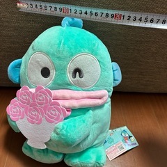 ハンギョドン　BIG   ぬいぐるみ（タグ付き）の画像
