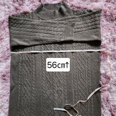 数回着た古着ですがの画像