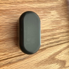 Noble Audio FALCON 充電ケース（ケースのみ）の画像