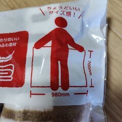 フリースブランケットの画像