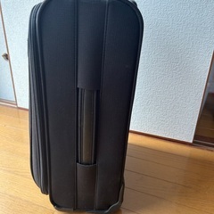 キャリーバックの画像